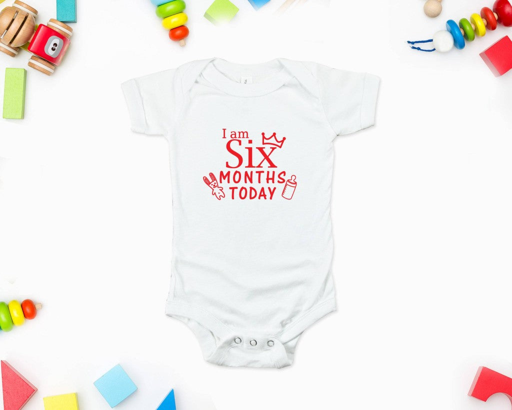 Milestone Monthly Birthday – Individual Rompers
