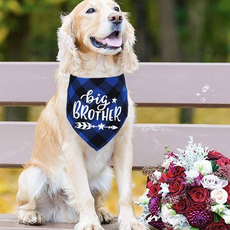 Big Brother Plaid Dog Bandana for Pregnancy Announcement