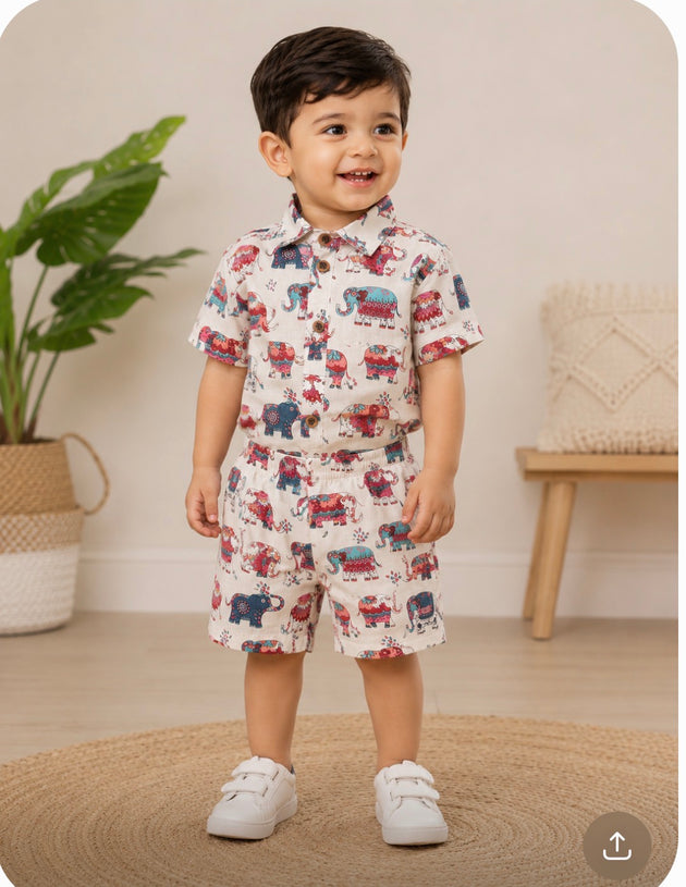 Jaipur Festival Elephant 100% Cotton Kids Co-ord Set