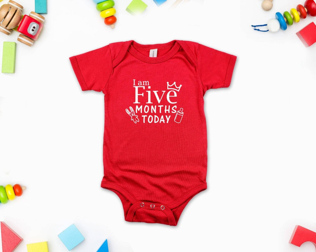 Milestone Monthly Birthday – Individual Rompers