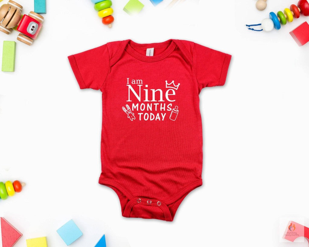Milestone Monthly Birthday – Individual Rompers