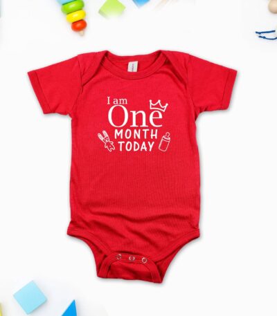 Milestone Monthly Birthday 8211 Individual Rompers Birthday Party T shirts Newborn Baby Gifts a61dc102c047f8682bf539 1 Y 10