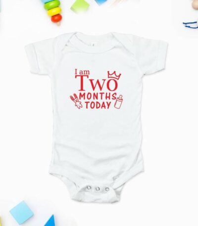 Milestone Monthly Birthday 8211 Individual Rompers Birthday Party T shirts Newborn Baby Gifts a61dc102c047f8682bf539 1 Y 29