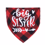 Big sis bandana