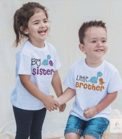 Big Sister Little Brother Kids Dinosaur T shirt for Boys Girl Matching Outfit Tops Summer T Shirt Children Clothes Short